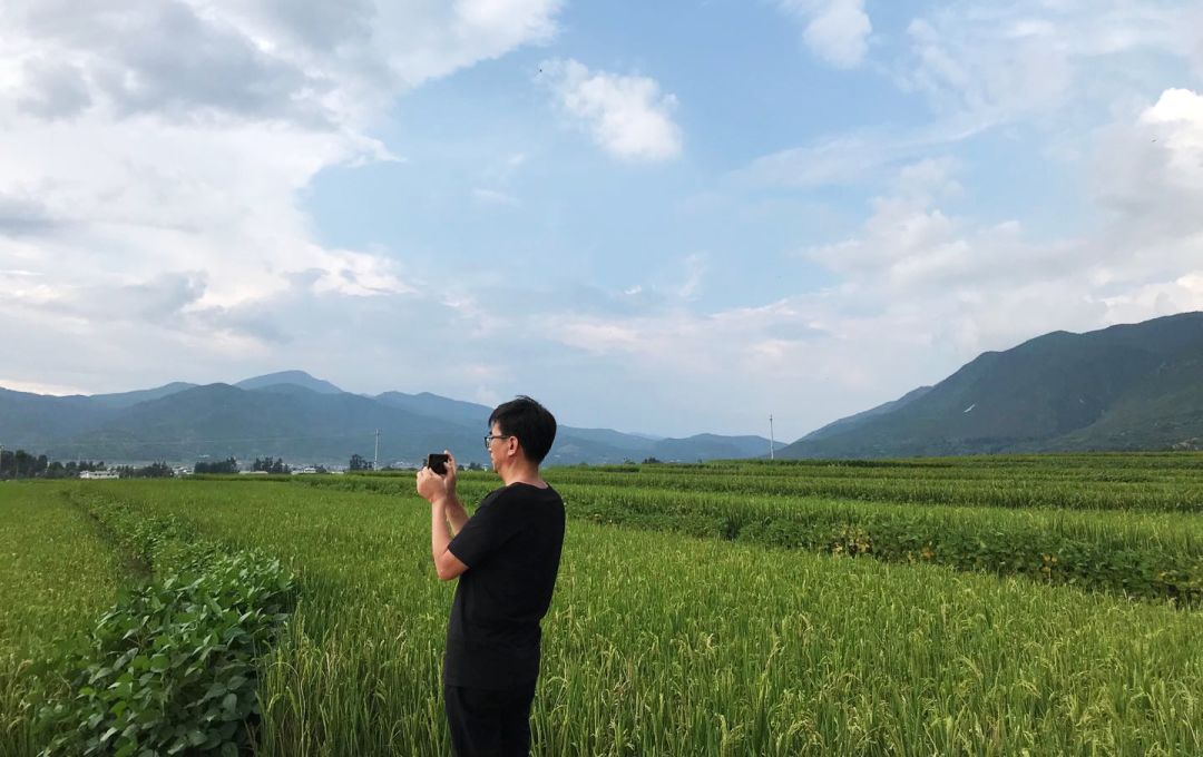 深居高麗山腳下,採用南粳優質品種,稻田灌溉侖山湖湖水,優質水源和