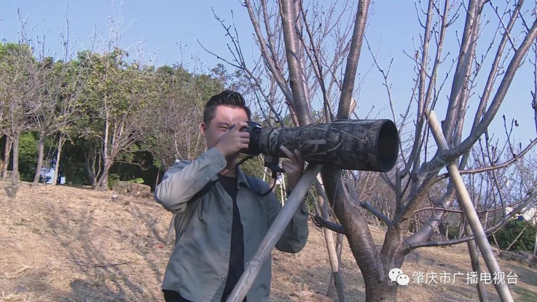一只鸟,记得很清楚那是一只翠鸟,我看着翠鸟从树枝上跳到水里去抓鱼