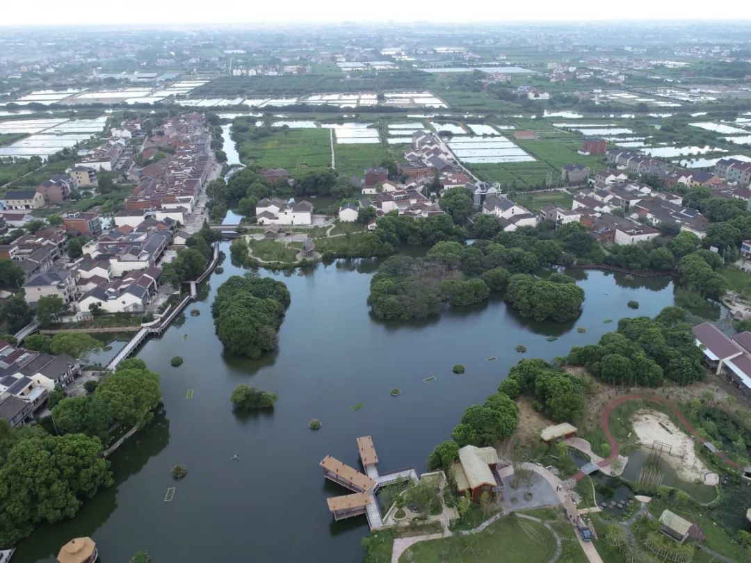 初心61使命55丨让村民幸福是他的初心和使命禹越镇三林村有位优秀