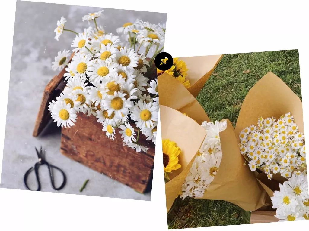 韩国最会穿衣的权志龙竟然是个雏菊控连王一博和周杰伦都要为他打call