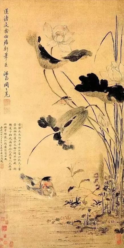 明 周之冕《莲渚文禽图》南京博物院藏开悟智慧,莲房法门莲花有开悟