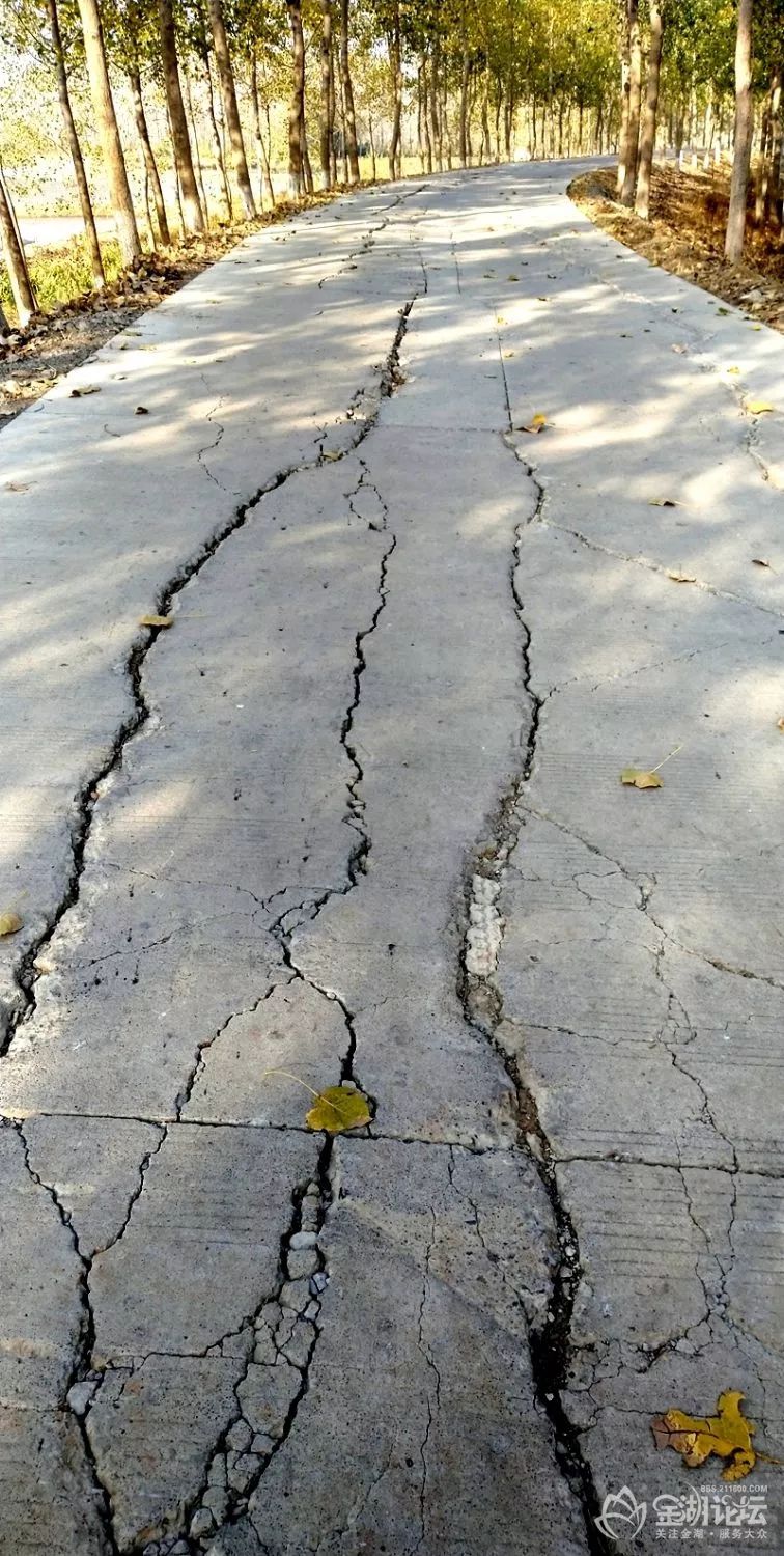 网友爆料:金湖这条路坑坑洼洼,破烂不堪,群众纷纷吐槽!