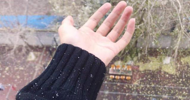 石家庄第一场认真的雪_雪花