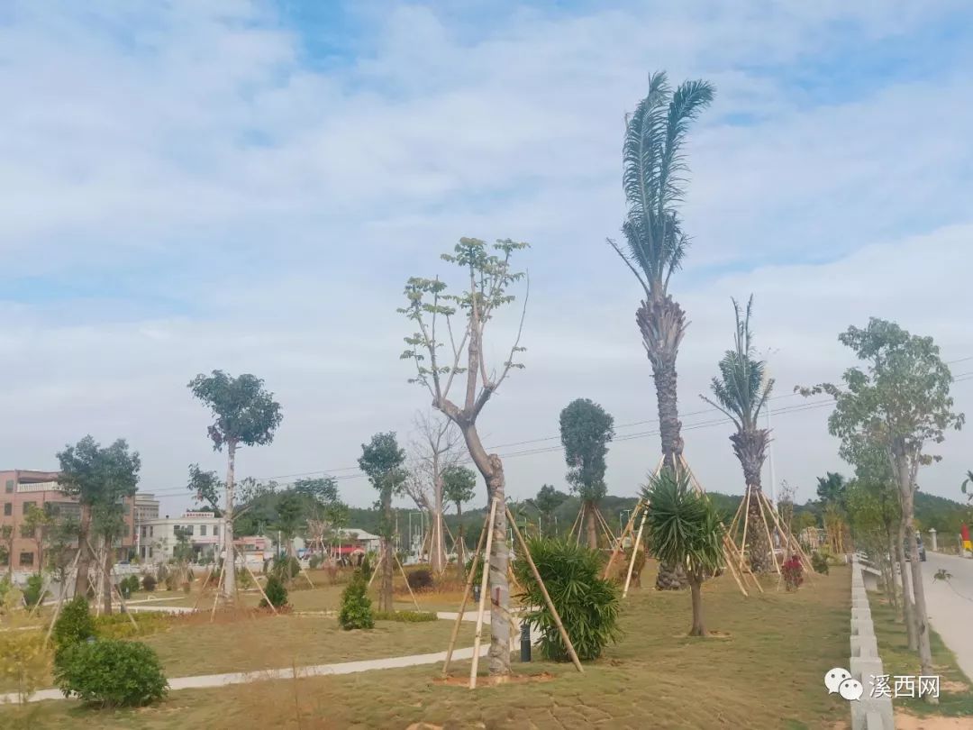 在隆江不远处,建造了一个大型公园.
