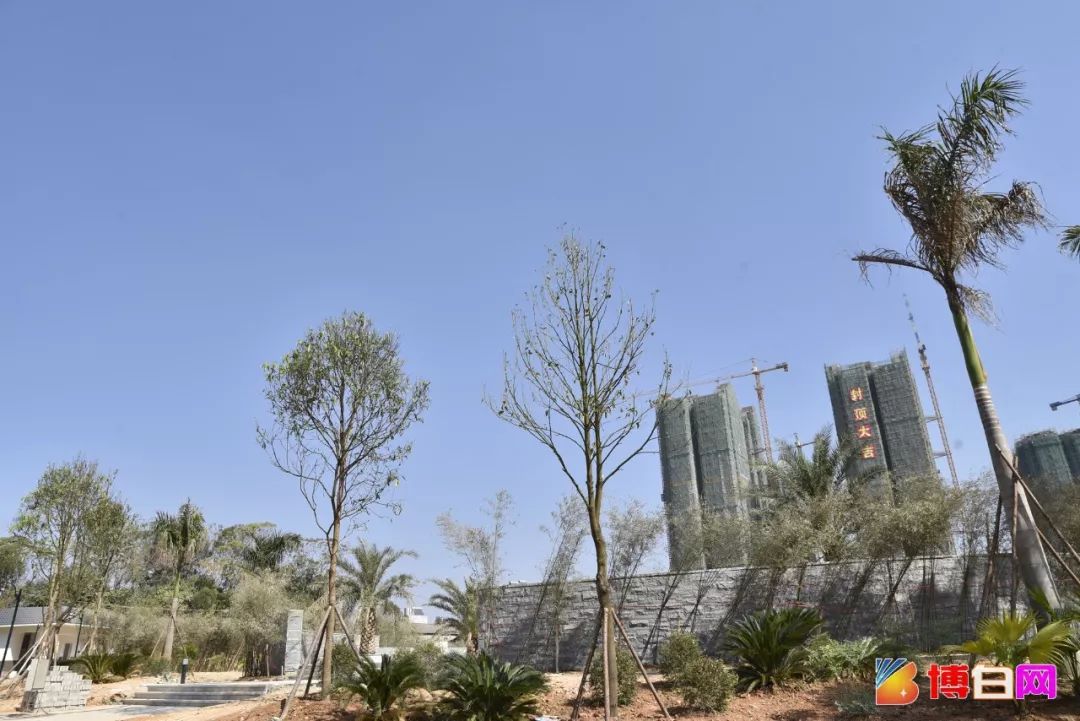 游在玉林博白城南公园大变样绿化初成湖已注水预计春节前可以玩啦