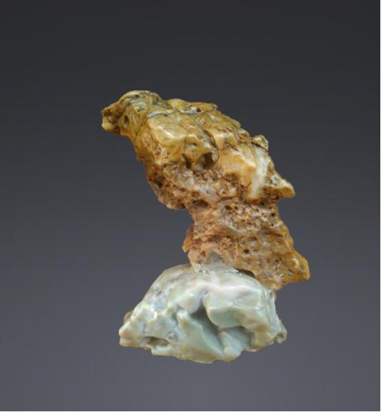 都是些什么鸟石保证有你好看