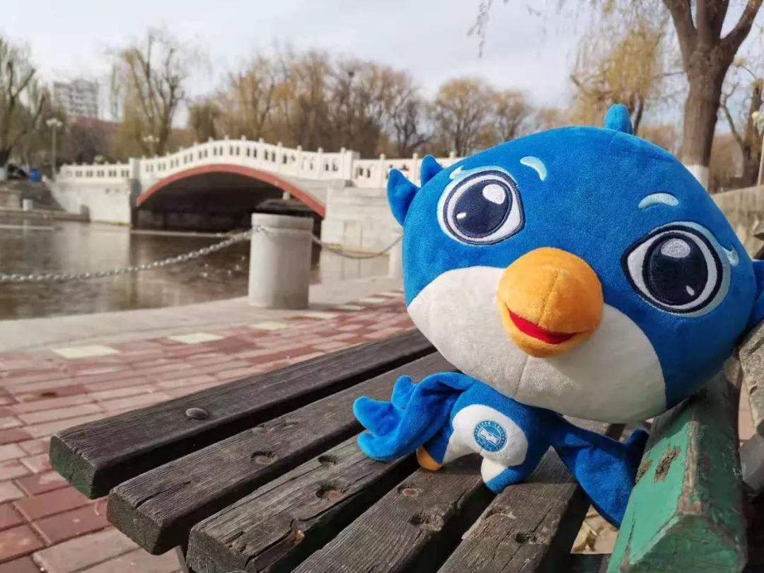 燕宝陪你逛燕园!