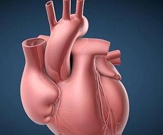 人类将成为"活死人"?3d打印可制出心脏,竟还能持续跳动