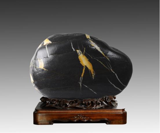 都是些什么鸟石保证有你好看