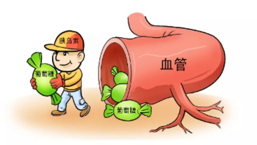 名医讲堂糖尿病的新武器胰岛素泵