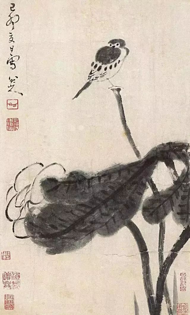 八大山人花鸟画一花一鸟皆是悲啼