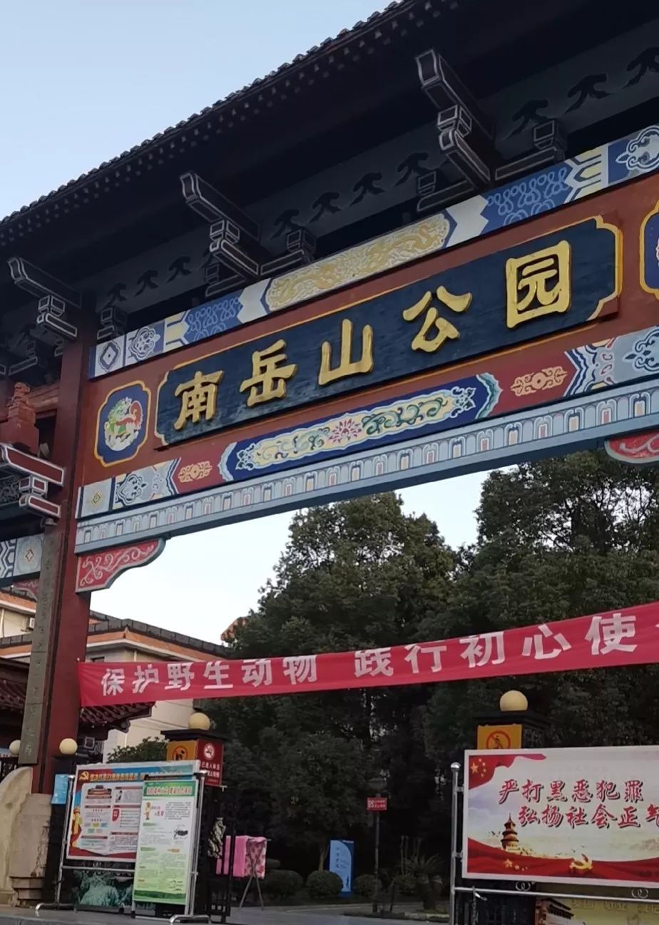 团建全员齐动活力无极限我们不一young