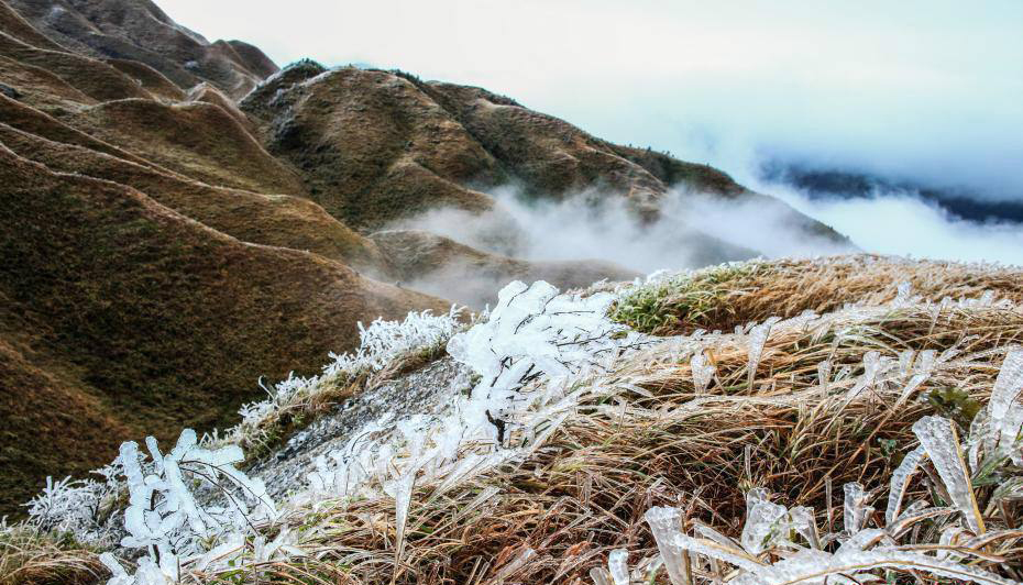 美翻了!环江朝阁万亩草甸秋色连波,再冷还将开启"看雪模式"