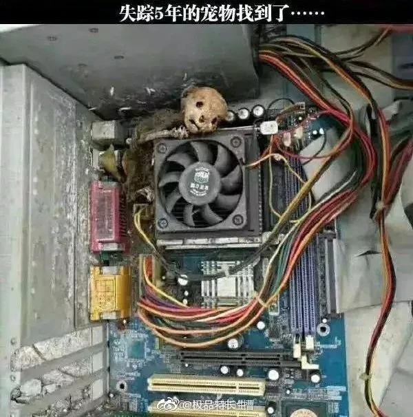 图片[27] - 【xizi被窝段子20191205】每个人本质上过地是一样的日子 不同的是你心在感受什么 - xizi