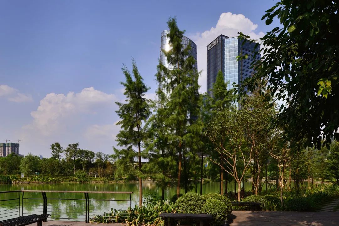 湖湿地生态公园,在快节奏都市生活中,让你体验舒适的绿色生态办公空间
