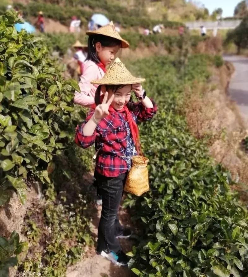 孩子们和花花世界让我们一起走进发现美,欣赏美,创造美再造自然之美