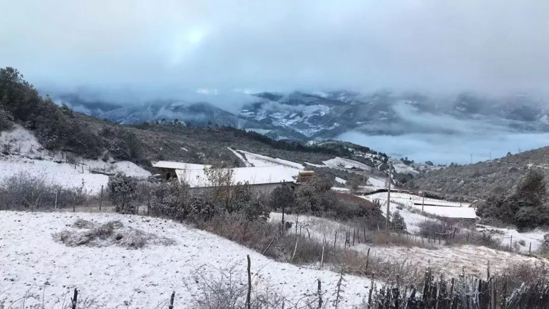 鹽邊今年入冬的第一場雪悄然而至,這裡已經美成了