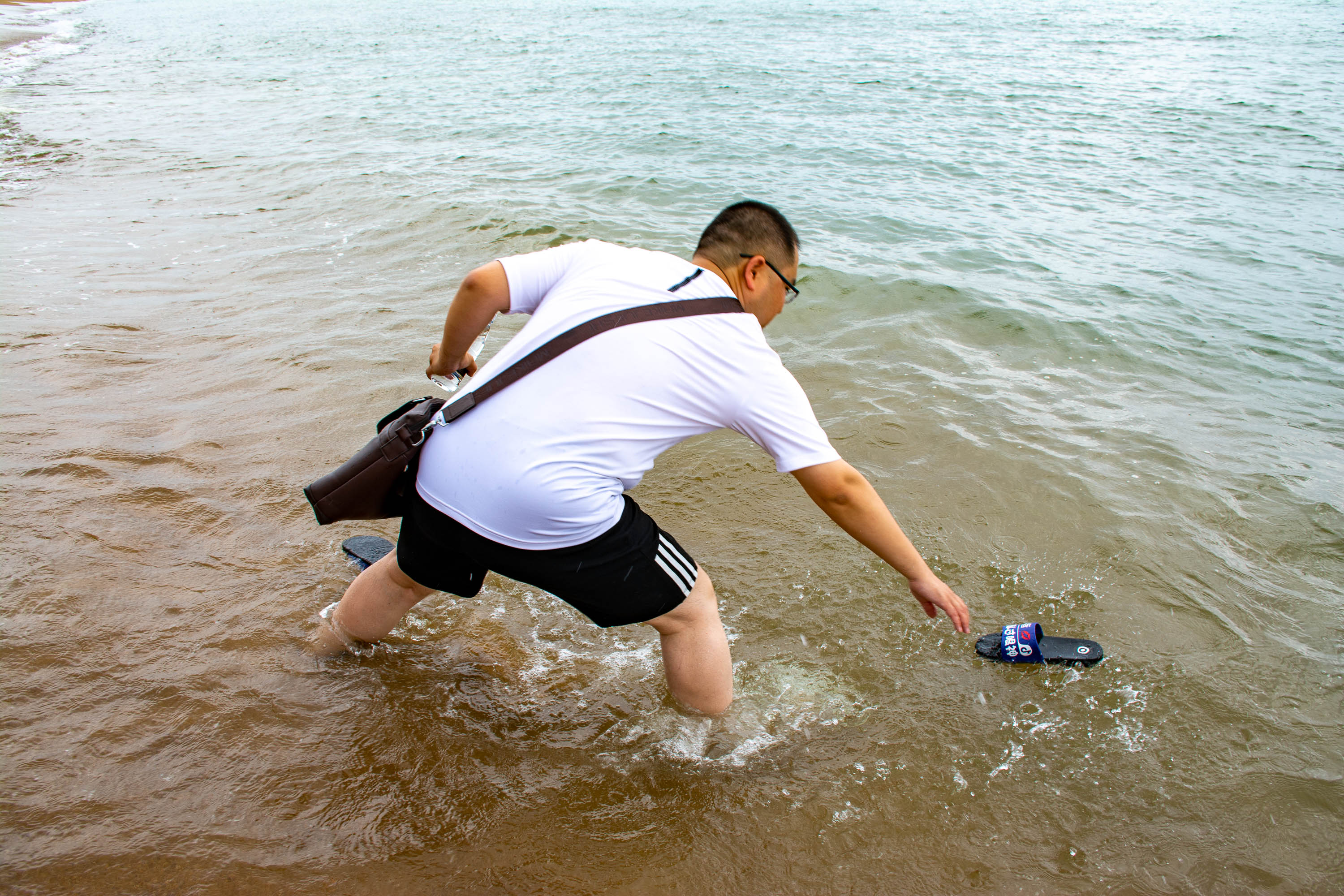 海滩上的一只鳌成了网红,长有乌龟的头,麒麟的尾,人们称它鱼龙