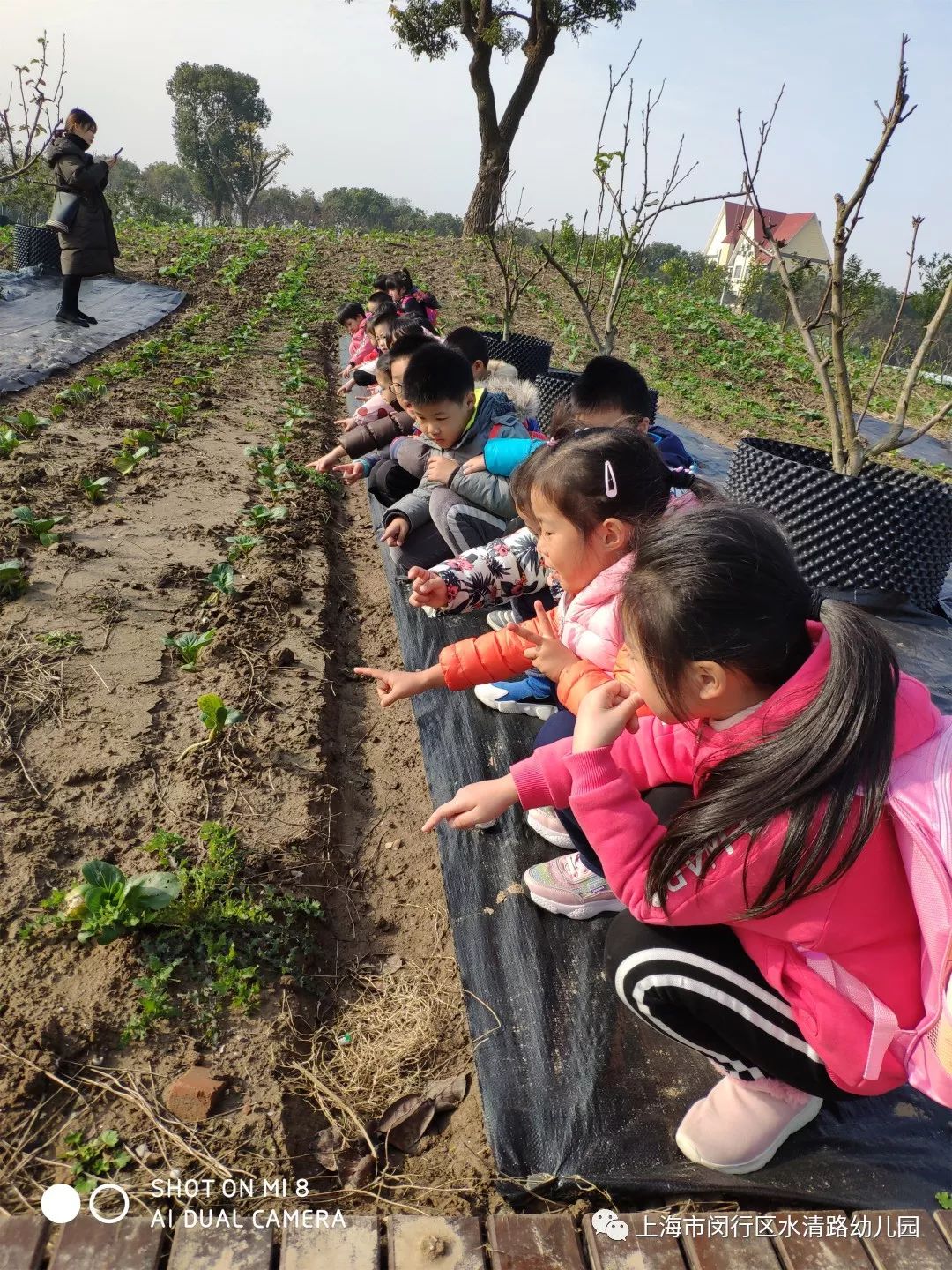 行走的 绿色课程 水清路幼儿园社会实践活动 生活