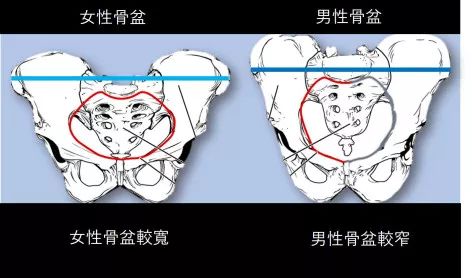 女性运动膝盖痛的迷思