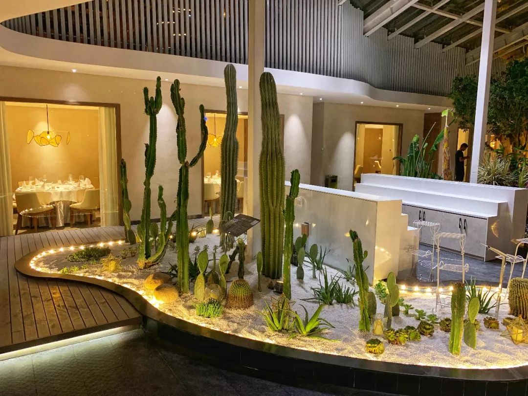 【江滩】这家网红植物园餐厅,让女神们来了不想走~138元抢原价522元