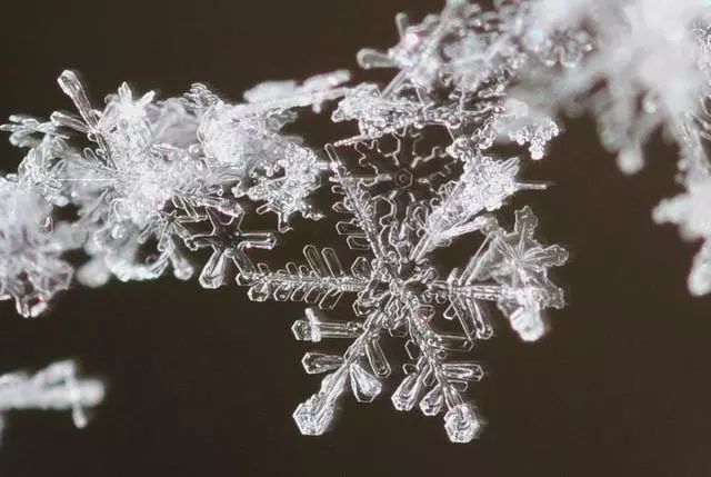 鹅毛雪花大多是"拼接"的