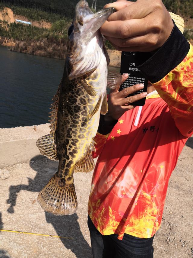 涔天河水库 探钓归来,水质好的没话说