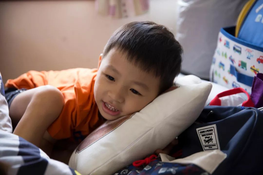 父母不敢带小男孩去爱猫的葬礼他却说了这样一句话