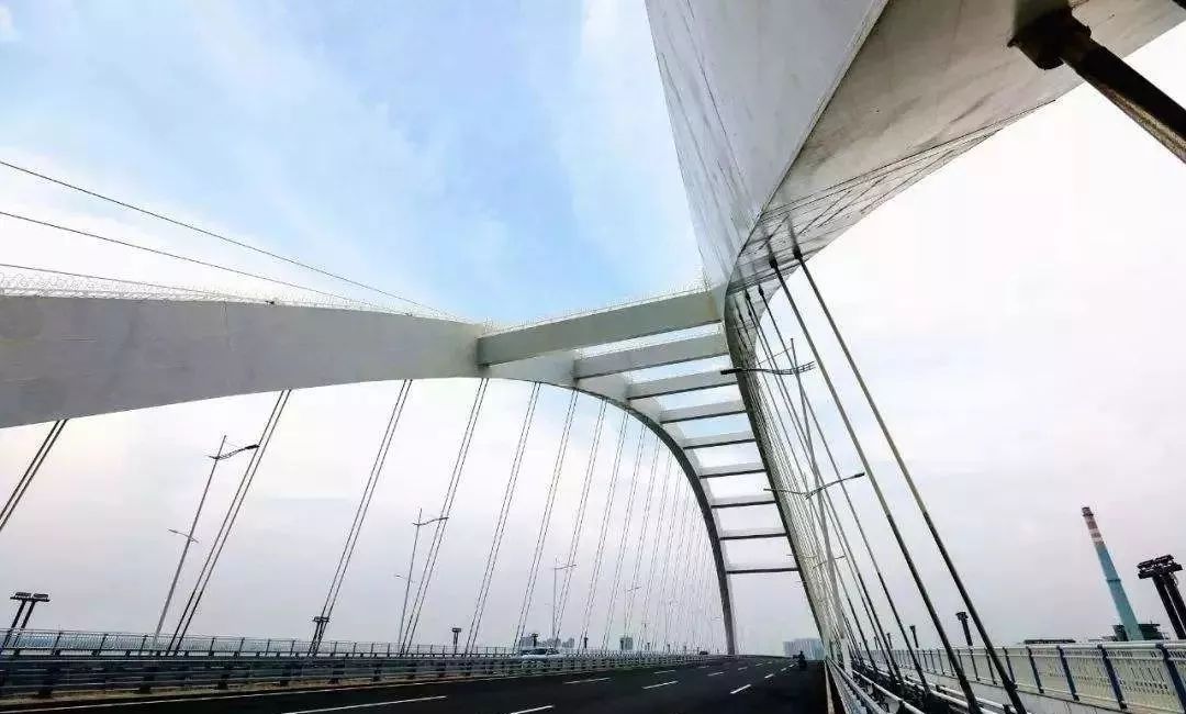 扩散南沙凤凰桥有多个拍照点开车有这行为扣2分罚100已多车主被罚