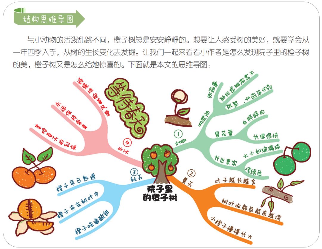 思维导图快速作文法,作文分数轻松 10分,67快准狠67!