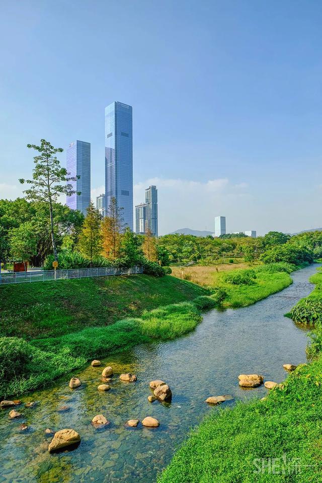 藏在深圳闹市的绝美"都市绿洲",美到窒息却被人遗忘