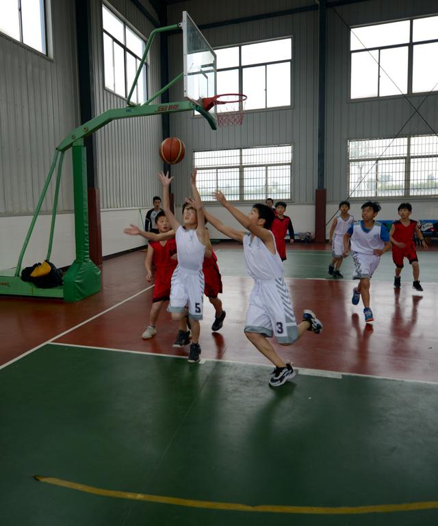 西坞中心小学称霸2019年宁波市奉化区小学生篮球四强赛