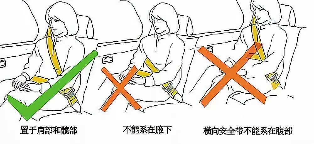 乘车未系安全带,罚!