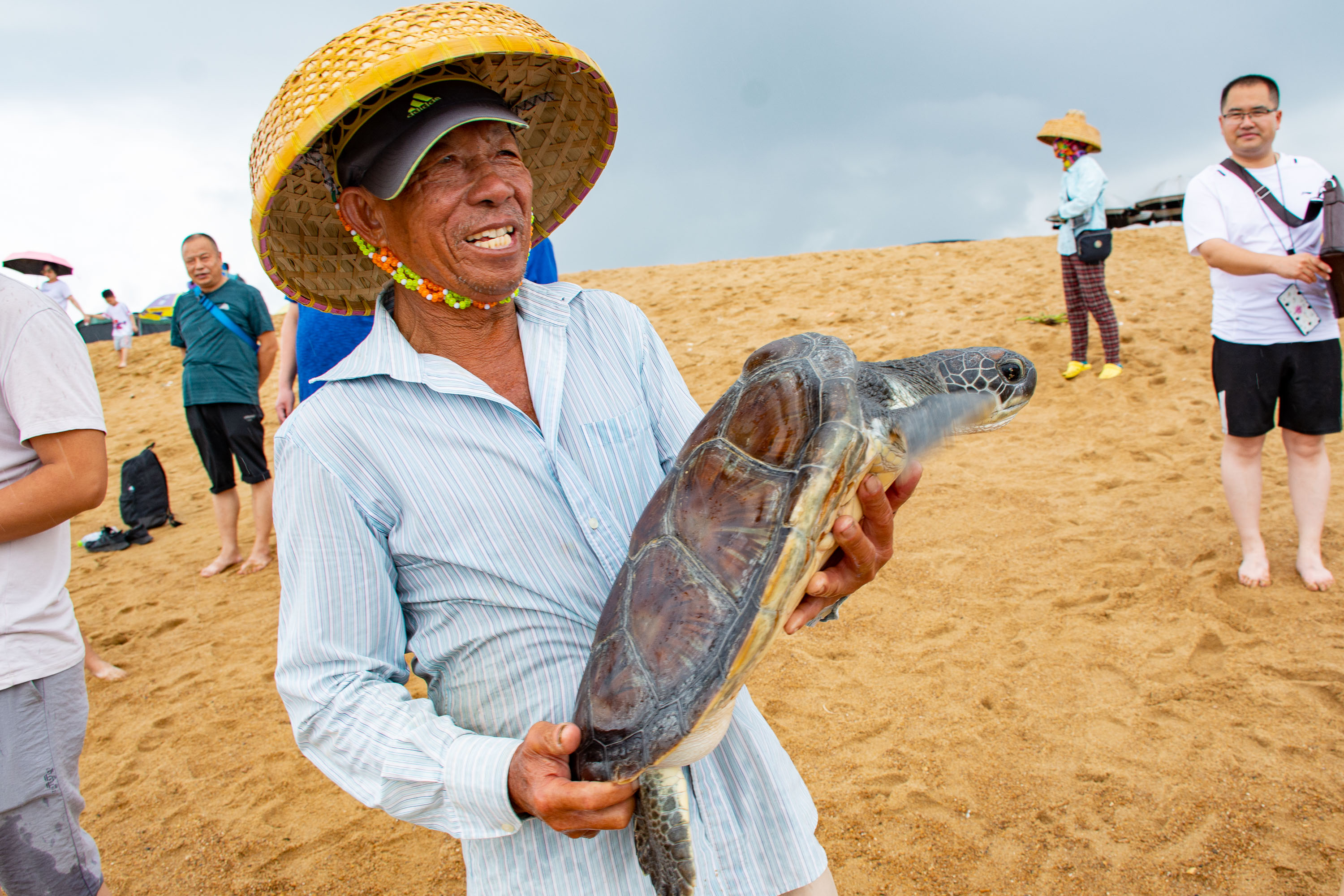 海灘上的一隻鰲成了網紅,長有烏龜的頭,麒麟的尾,人們稱它魚龍