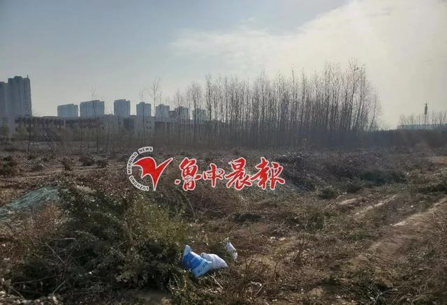 淄博新區(qū)高中最新動(dòng)態(tài):投資2.1億元!還有7所學(xué)校新消息(圖13)