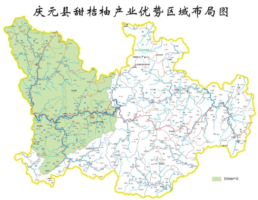 近年来,庆元县委县政府高度重视甜桔柚产业的发展.