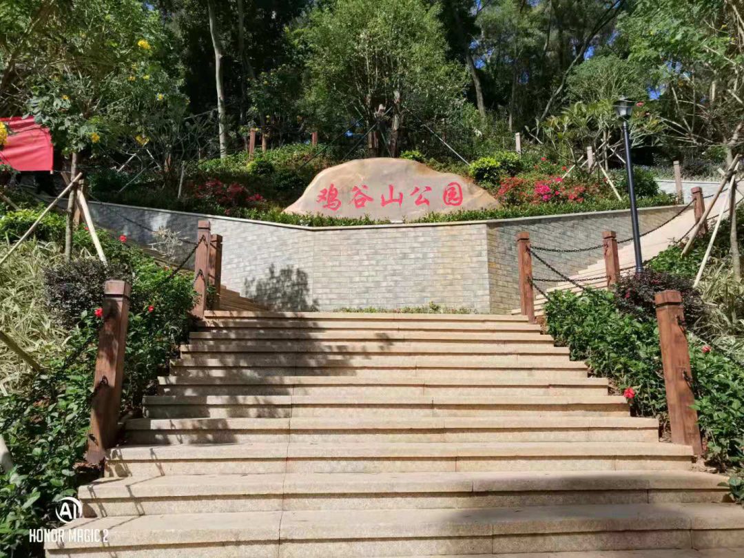 藤县生活圈的个人展示页