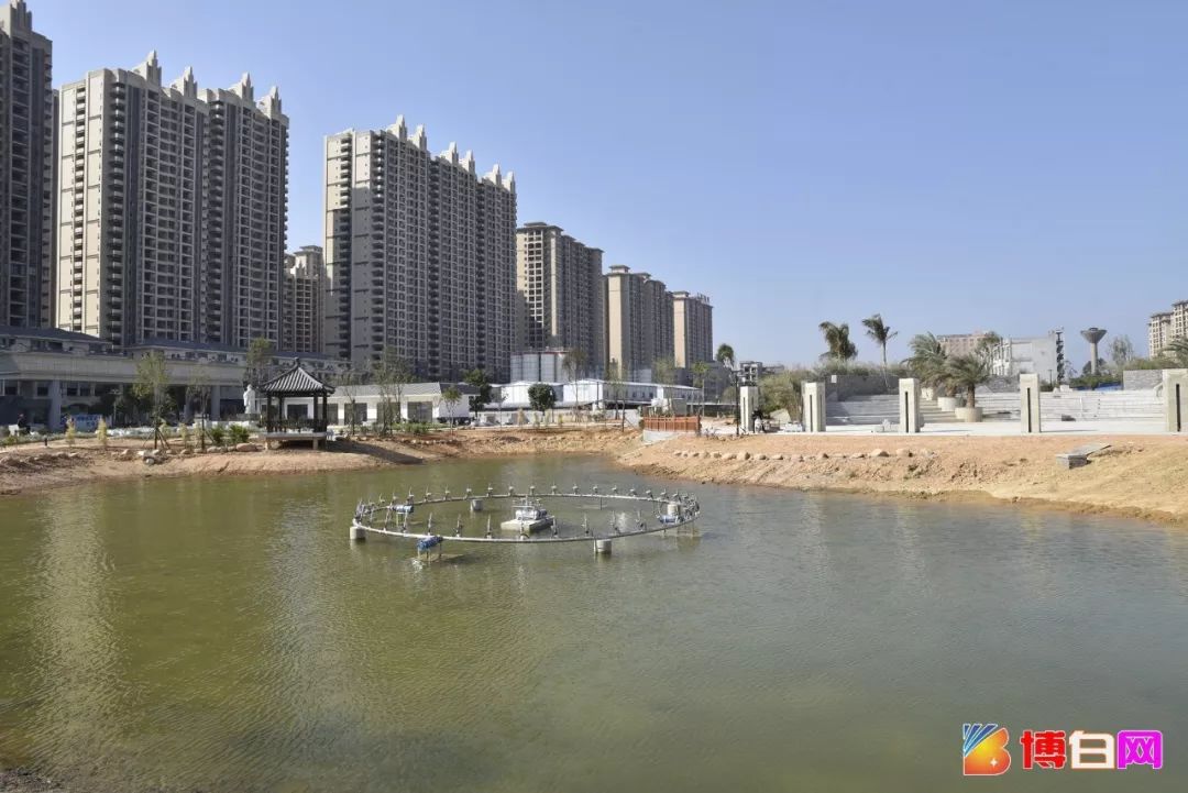 游在玉林博白城南公园大变样绿化初成湖已注水预计春节前可以玩啦