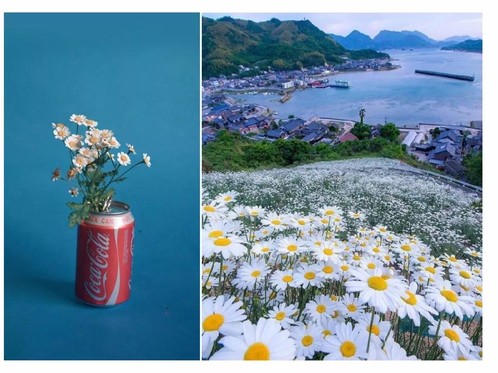 韩国最会穿衣的权志龙竟然是个雏菊控连王一博和周杰伦都要为他打call