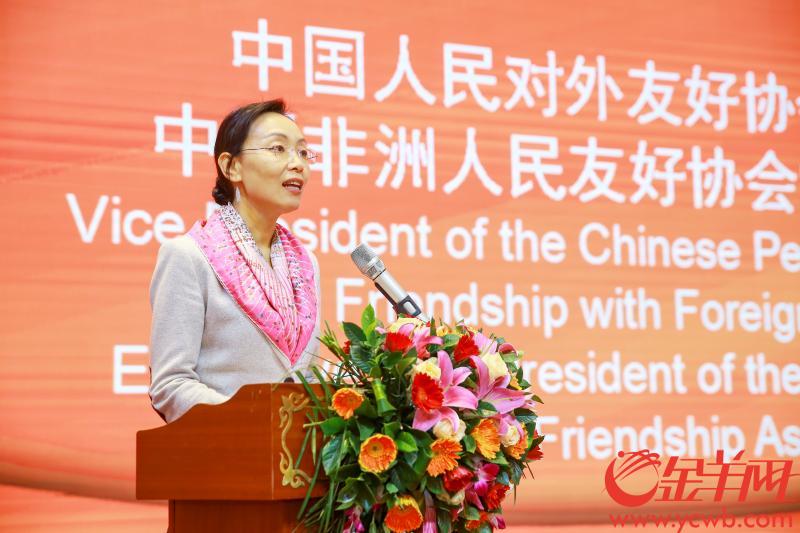中国人民对外友好协会副会长林怡:中非合作,粤港澳大湾区有这几大优势