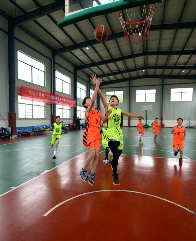 西坞中心小学称霸2019年宁波市奉化区小学生篮球四强赛