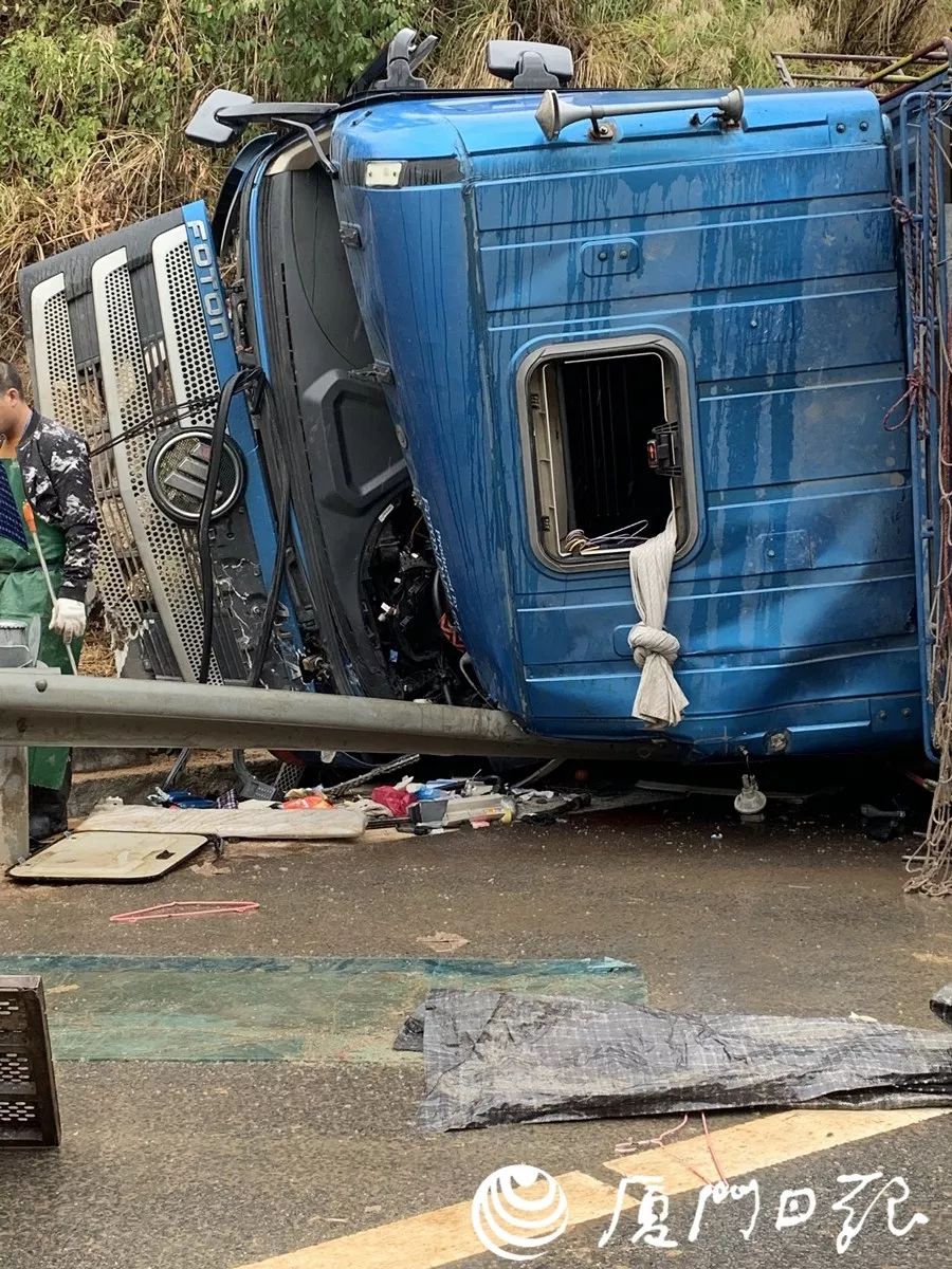 厦沙高速一运猪车侧翻,"二师兄"死伤过半,损失或达60万!