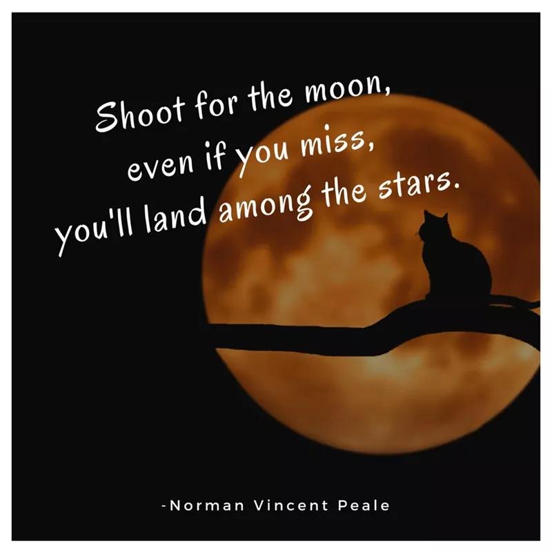 shoot for the moon, even if you miss, youll land among the