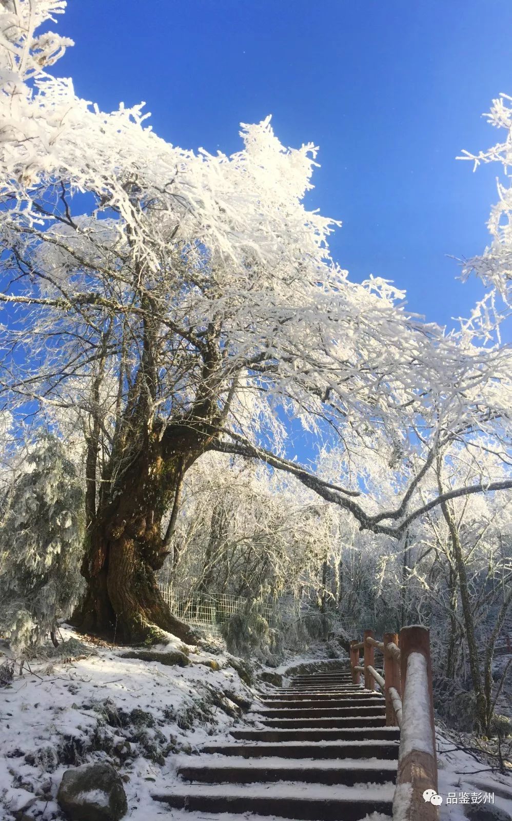 彭州龙门山雪景图片