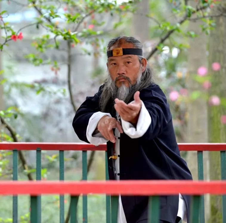 何道君青城武魂万物之道赋能者说第31回