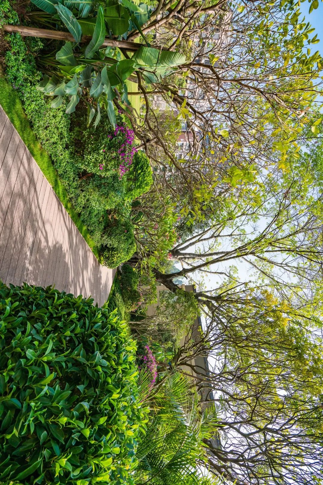 藏在山水间的现代宋式庭院