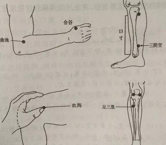 合谷血海图片