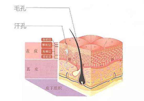 拉低颜值100倍的皮肤问题 相信你也有