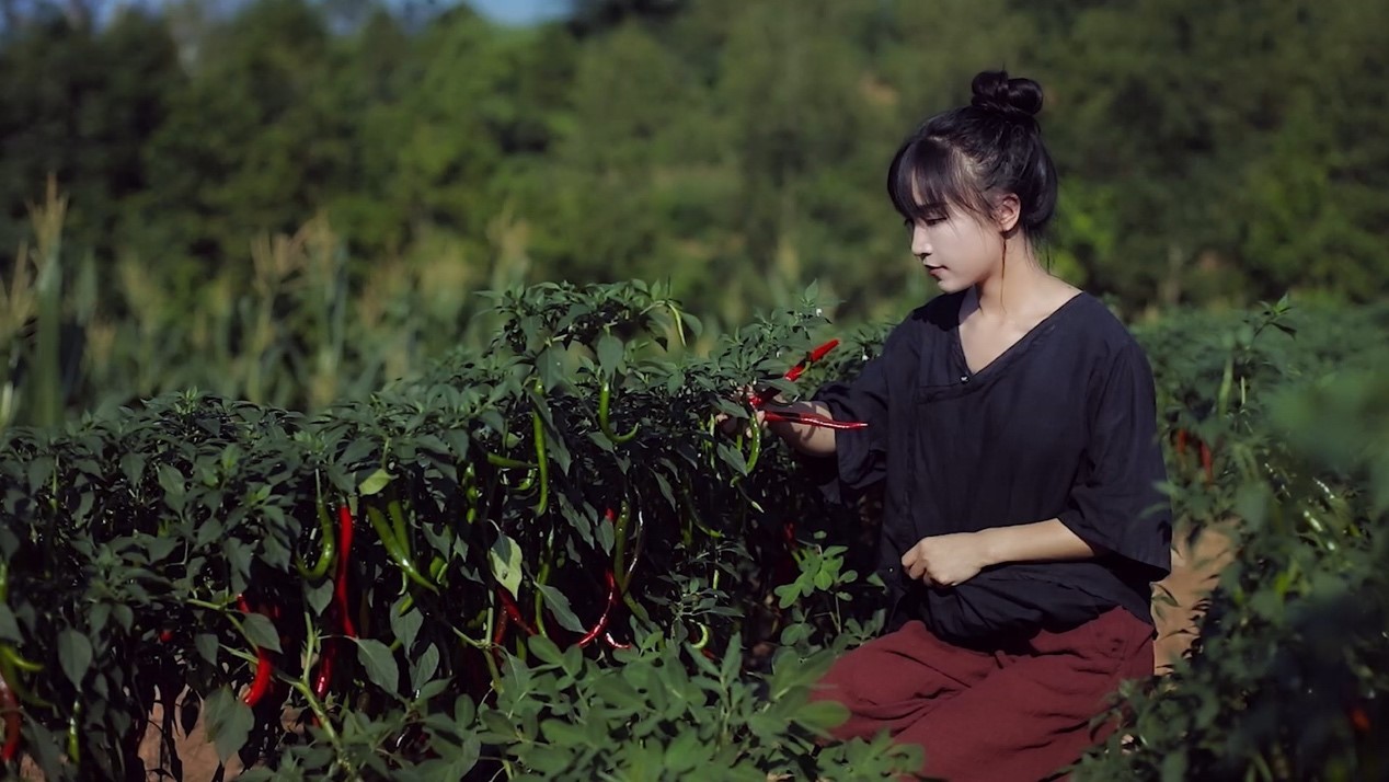 李子柒是不是文化输出你收获到的就是文化
