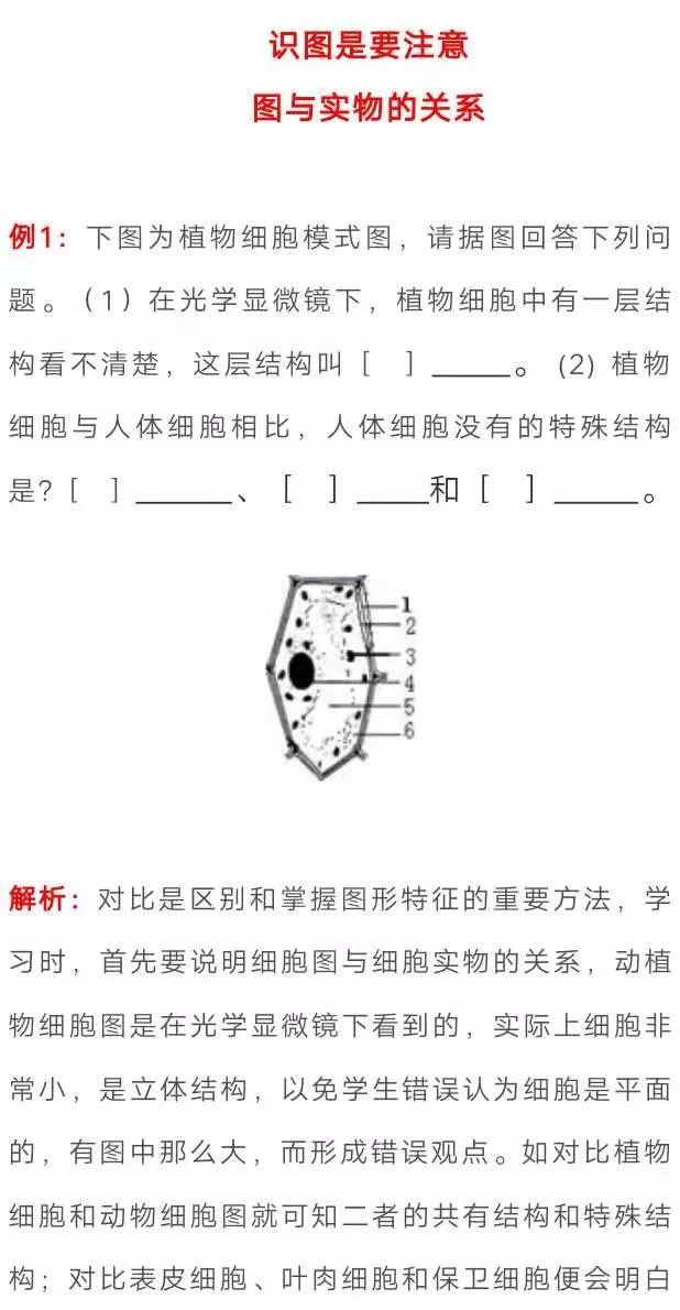 初中生物识图作答题的解题策略与技巧 方法